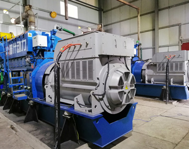 丰都甘泰沼气发电项目配hy3380cc海洋之神2台850KW/10.5KV6极高压发电机